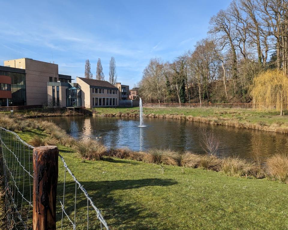 Afbeelding vijver achter gemeentehuis Simpelveld