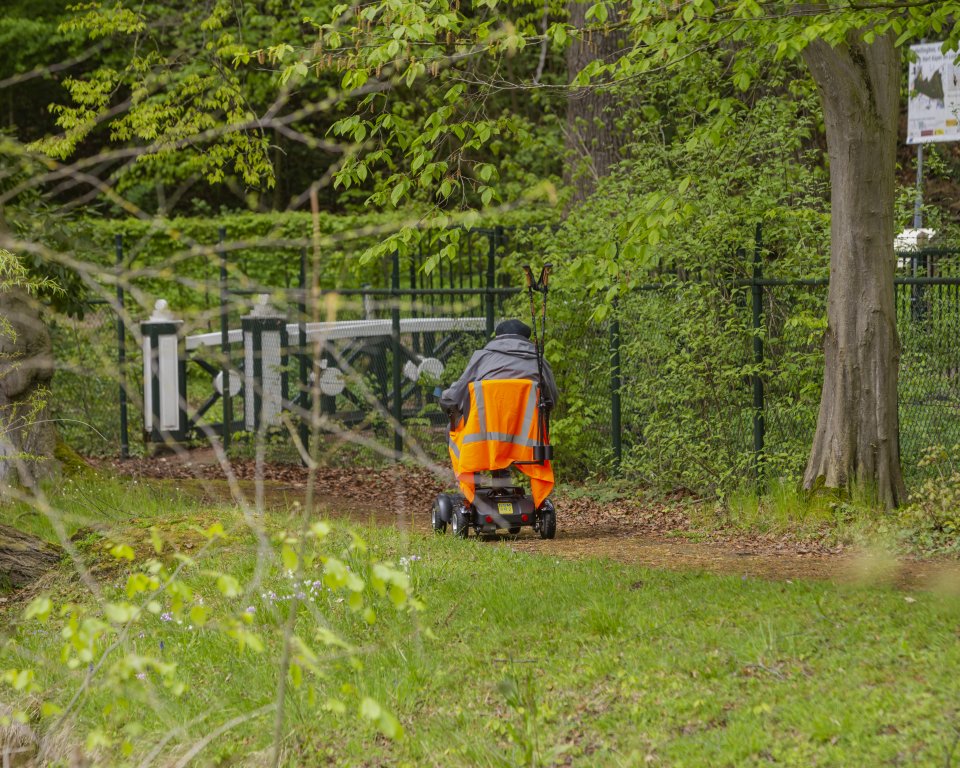 scootmobiel in bos