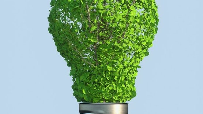 afbeelding gloeilamp met groene bladeren