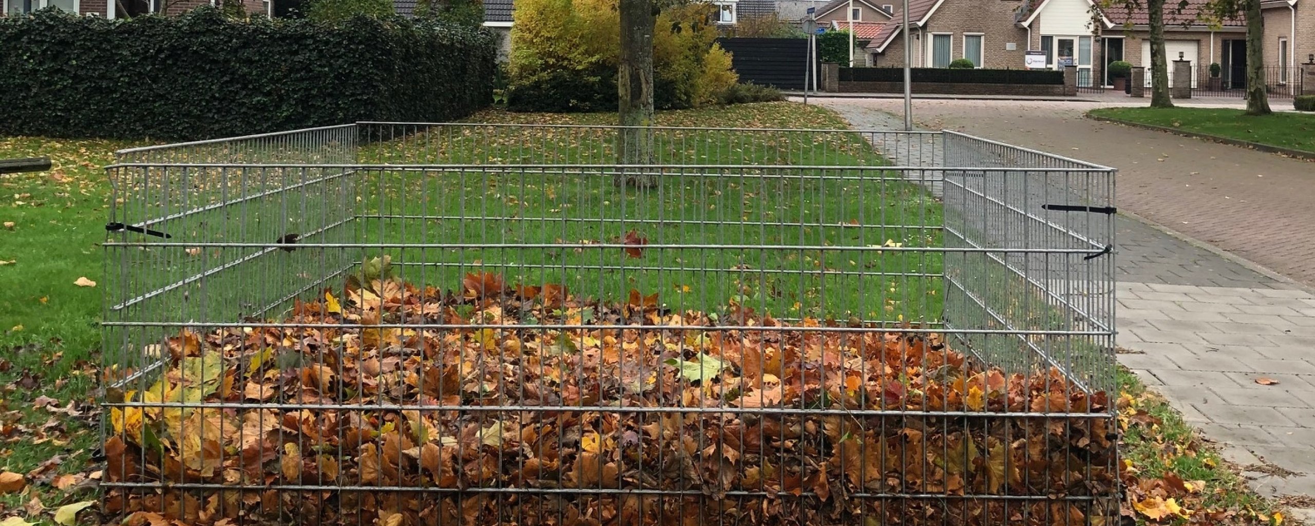Bladkorf in een woonwijk