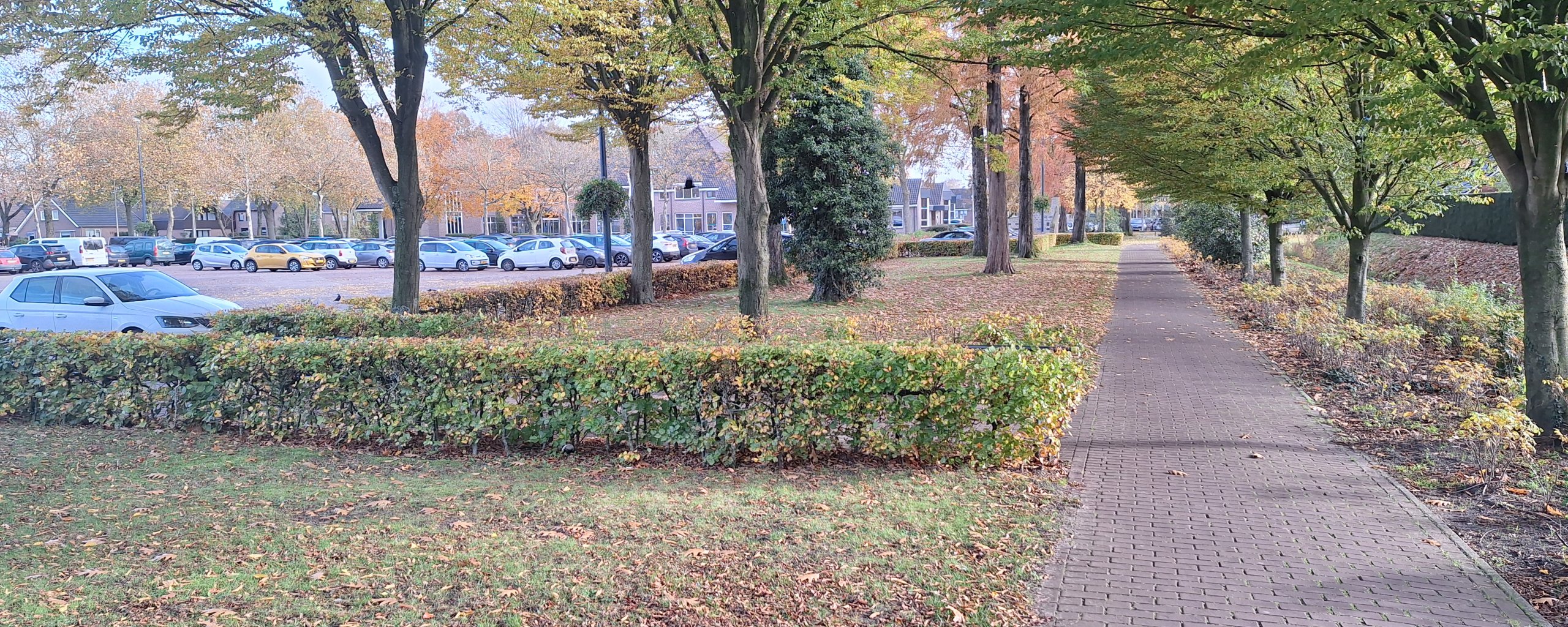 Voetpad langs het Marktplein met op de achtergrond het gemeentehuis. De bomen zijn in herfstkleuren