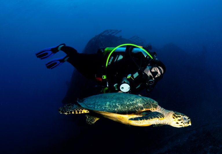 Images shows a diver swimming alongside a sea turtle.