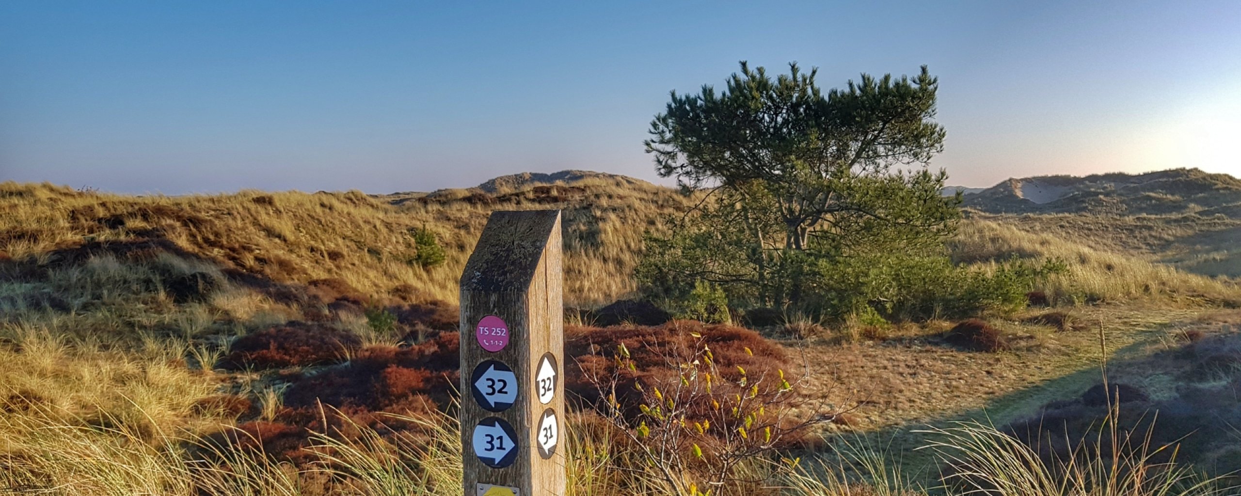 Wandelpad in de duinen van Terschelling