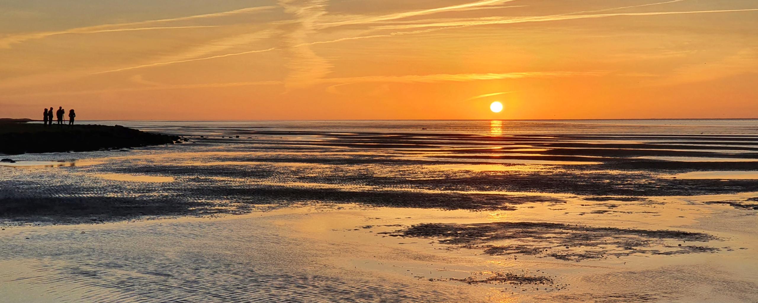 Ochtend aan het wad