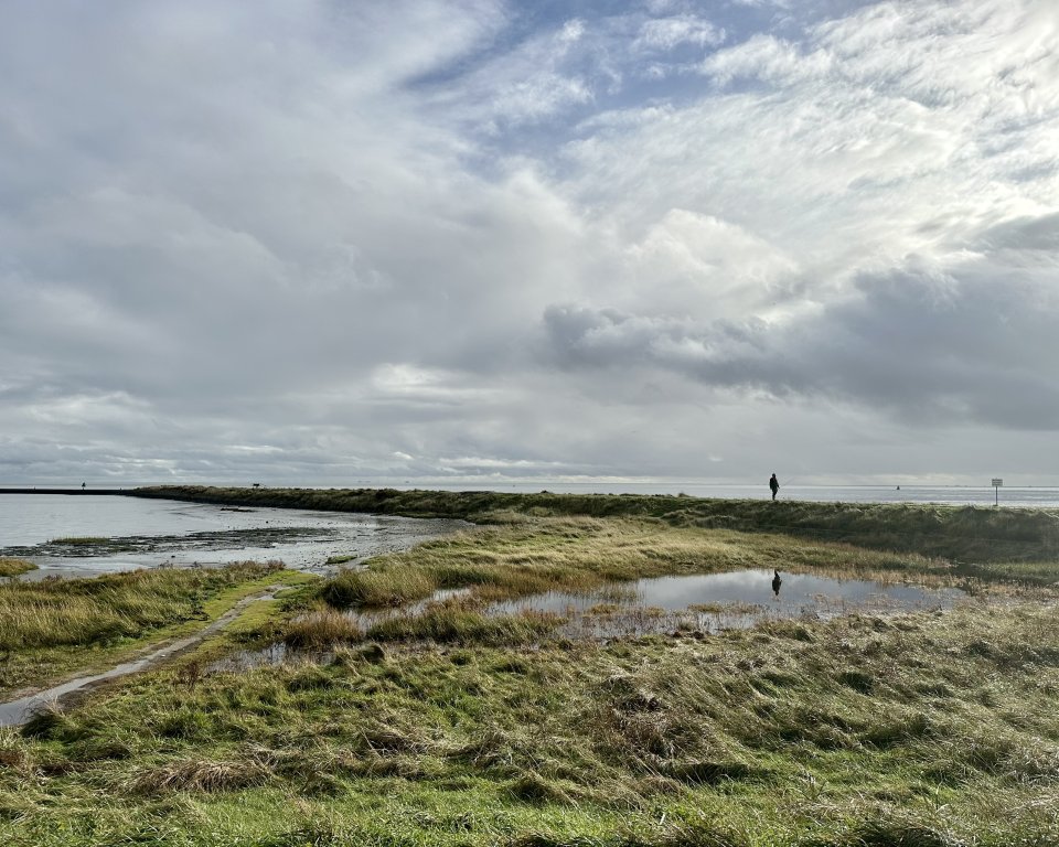 Natuur op Terschelling