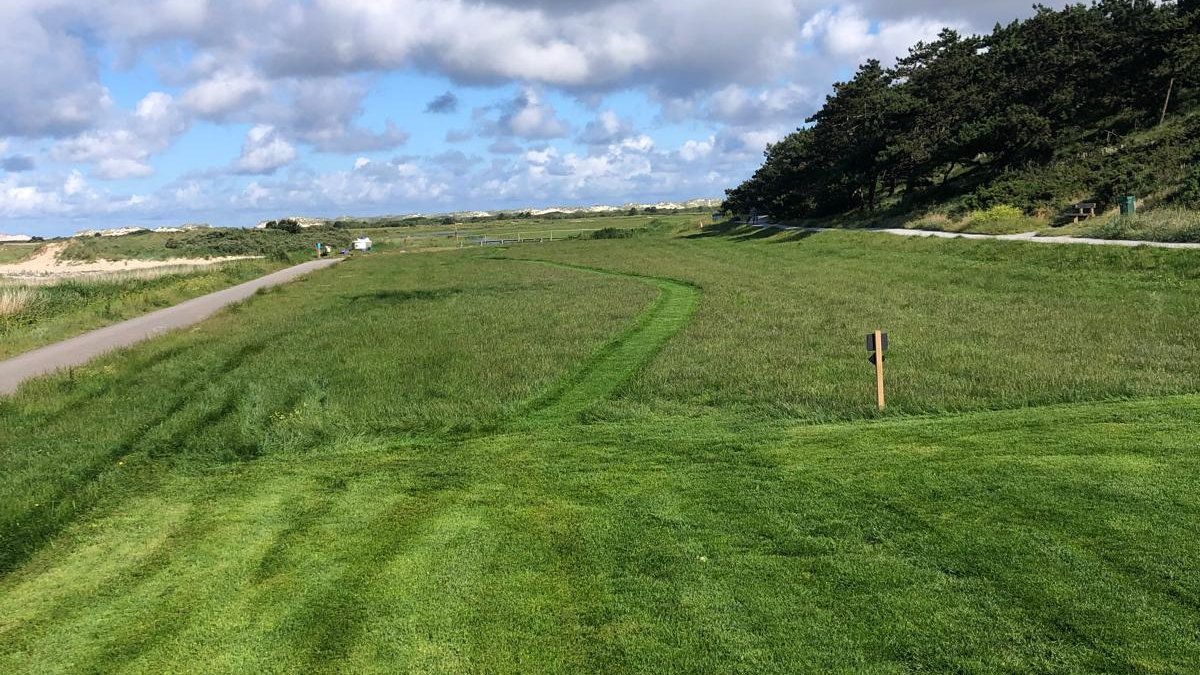 Meer bloemen en kruiden op Terschelling dankzij ecologisch maaibeheer