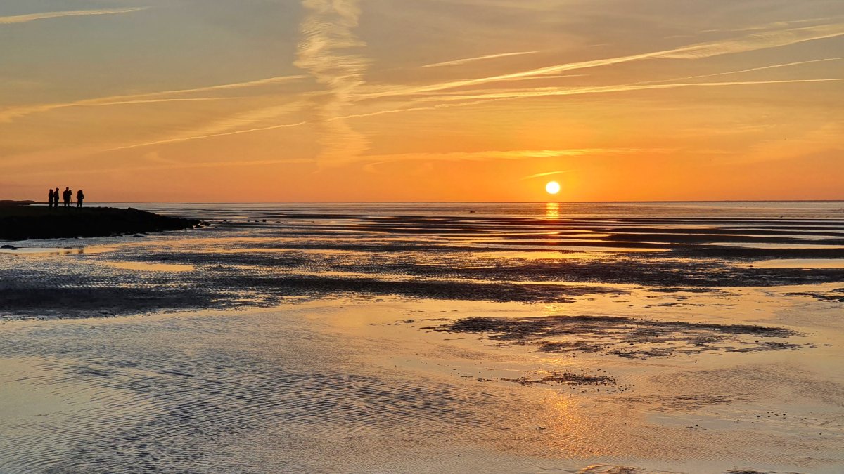 Informatiebijeenkomst nieuwe subsidieregelingen voor het Waddengebied