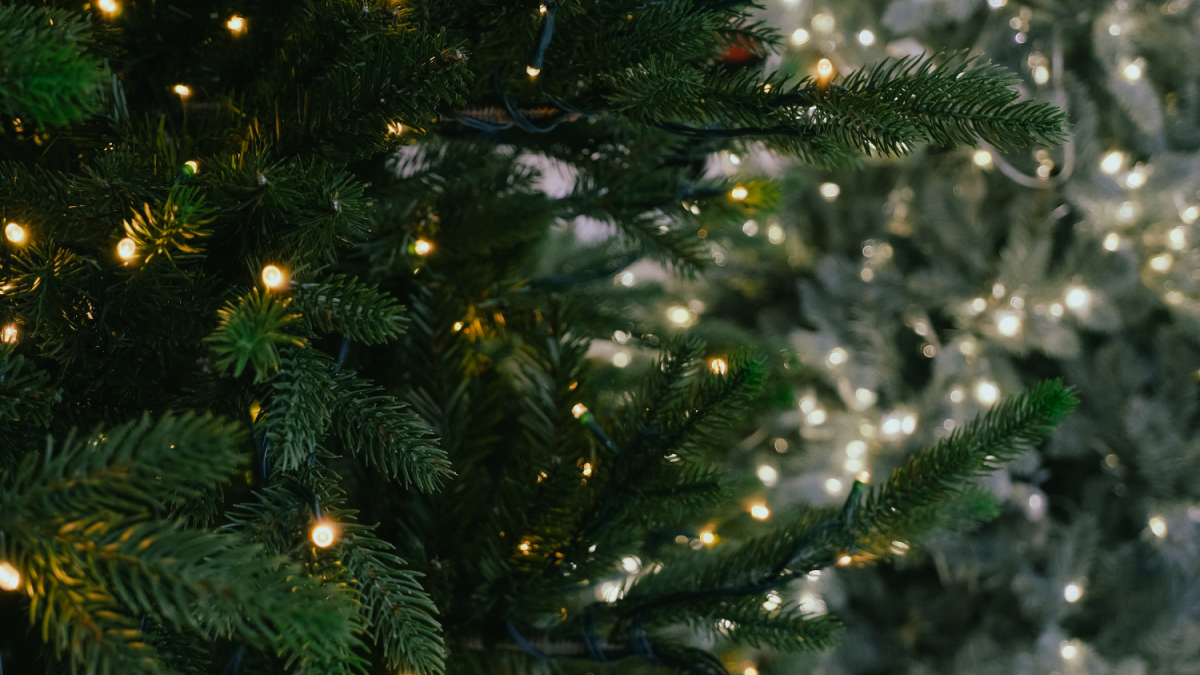 Inzameling kerstbomen