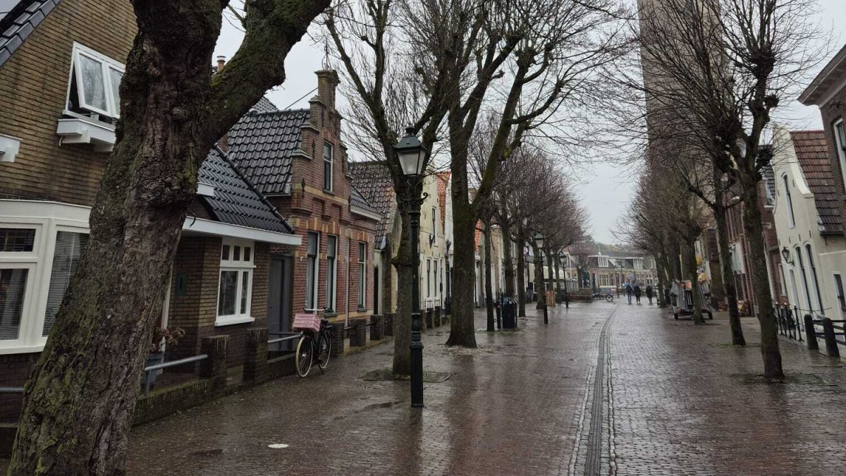 Er worden zieke bomen gekapt in de Torenstraat