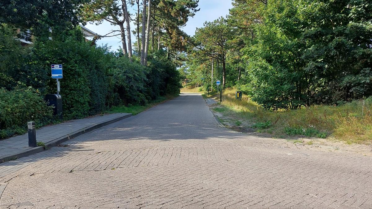 Werkzaamheden kruispunt Europalaan en de West Aletalaan