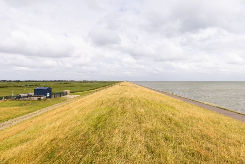 Droge natuur