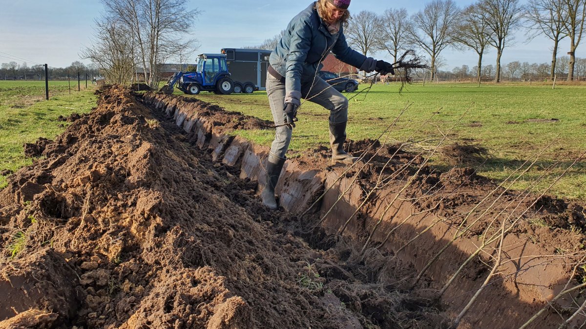 Boomdeeldagen voor Twenteranders