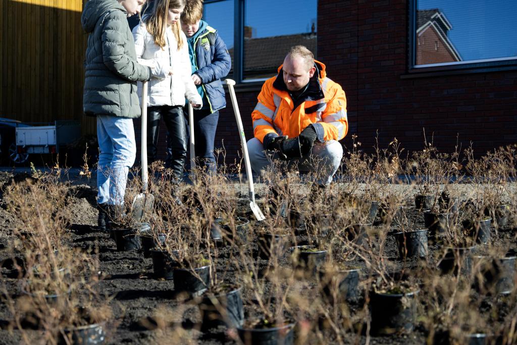 Leerlingen planten plantjes