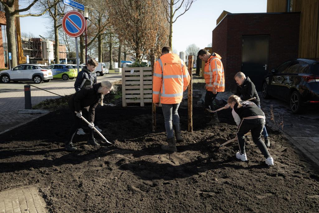 Leerlingen planten boom