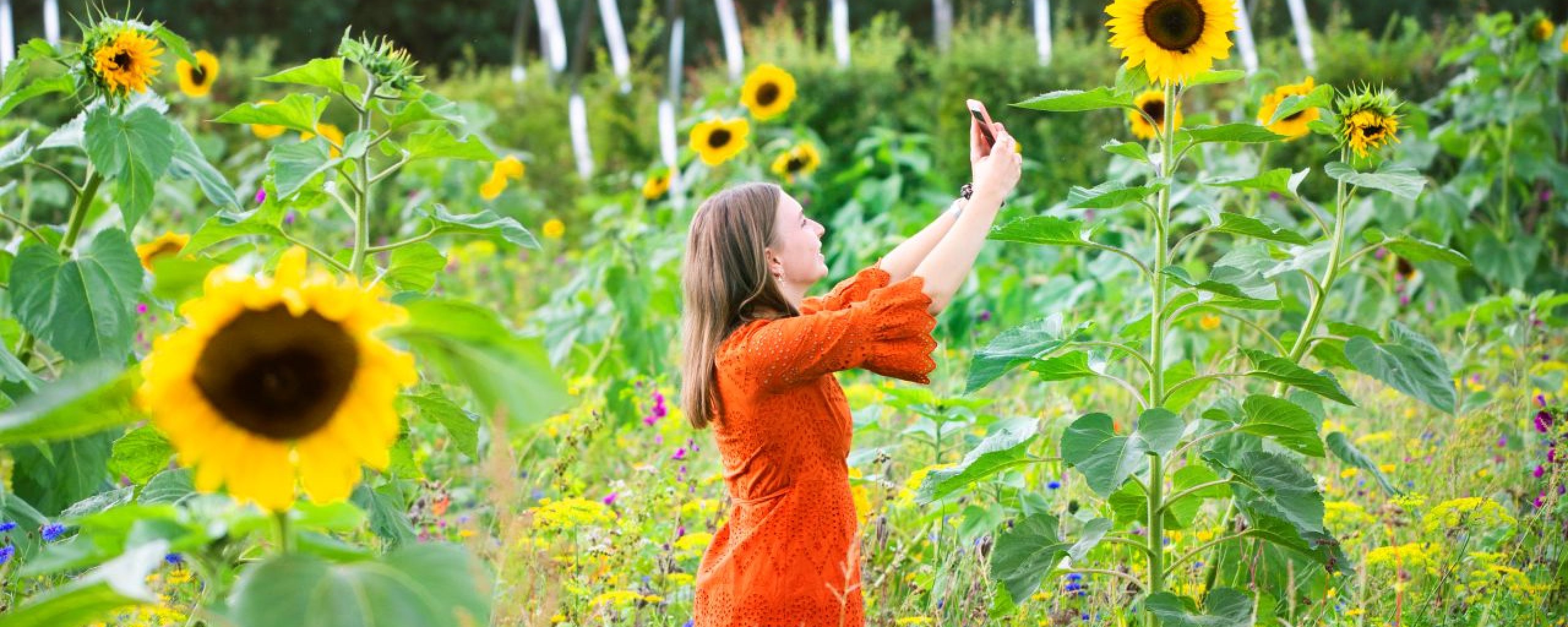 photo Tytsjerk park Vijversburg