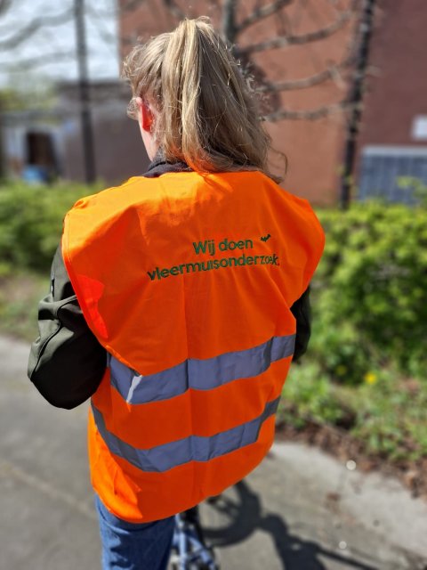 photo of a bat research staff member