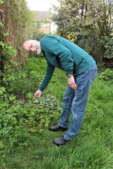 biodiverse tuin Rob van der Rol