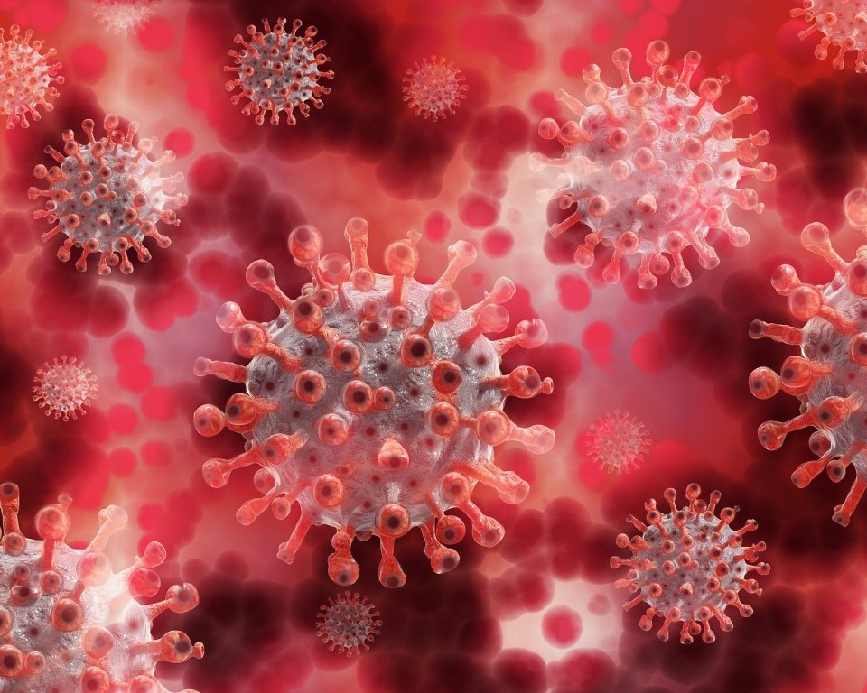 Coronavirusdeeltjes