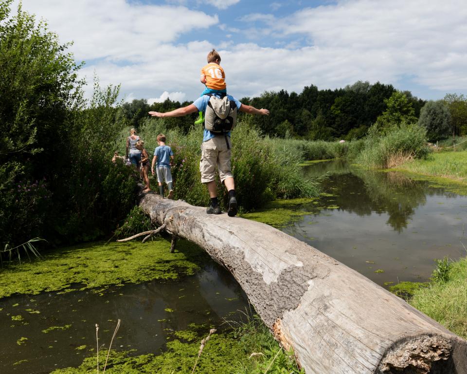 Boomstam over water met kinderen die er overheen lopen in het Belevenissenbos in Lelystad