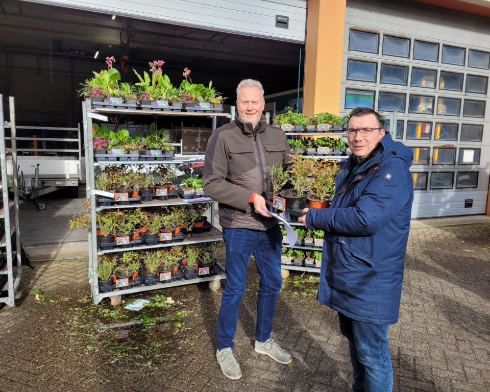 Op de foto staan twee mannen, waaronder wethouder Willem Foppen, ze houden beiden planten vast die uitgedeeld werden voor de steenbreekactie