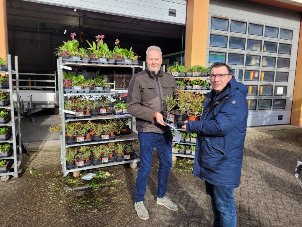 Op de foto staan twee mannen, waaronder wethouder Willem Foppen, ze houden beiden planten vast die uitgedeeld werden voor de steenbreekactie