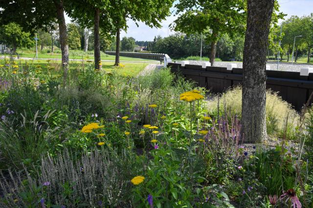 Palenscherm Urk met een mooie groenstrook met bloemen