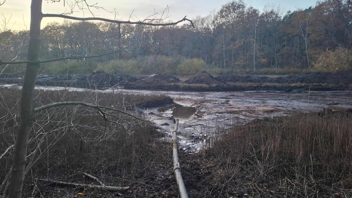 Update natuurherstel De Groote Meer – Luikerweg
