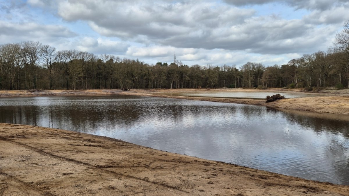 De Groote Meer in ere hersteld: de natuur krijgt weer ruimte