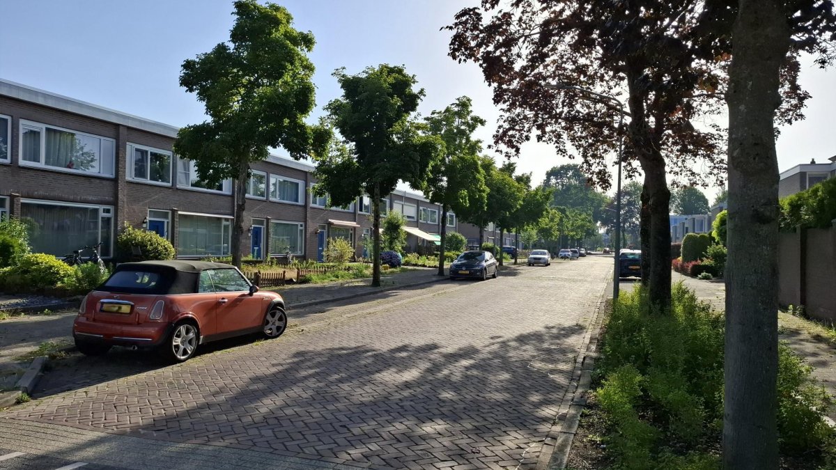 Verbetering riolering in deel Kardinaal de Jongstraat