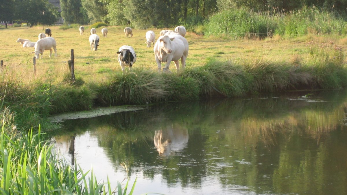 Valkenswaardse inzet voor schone Dommel blijft