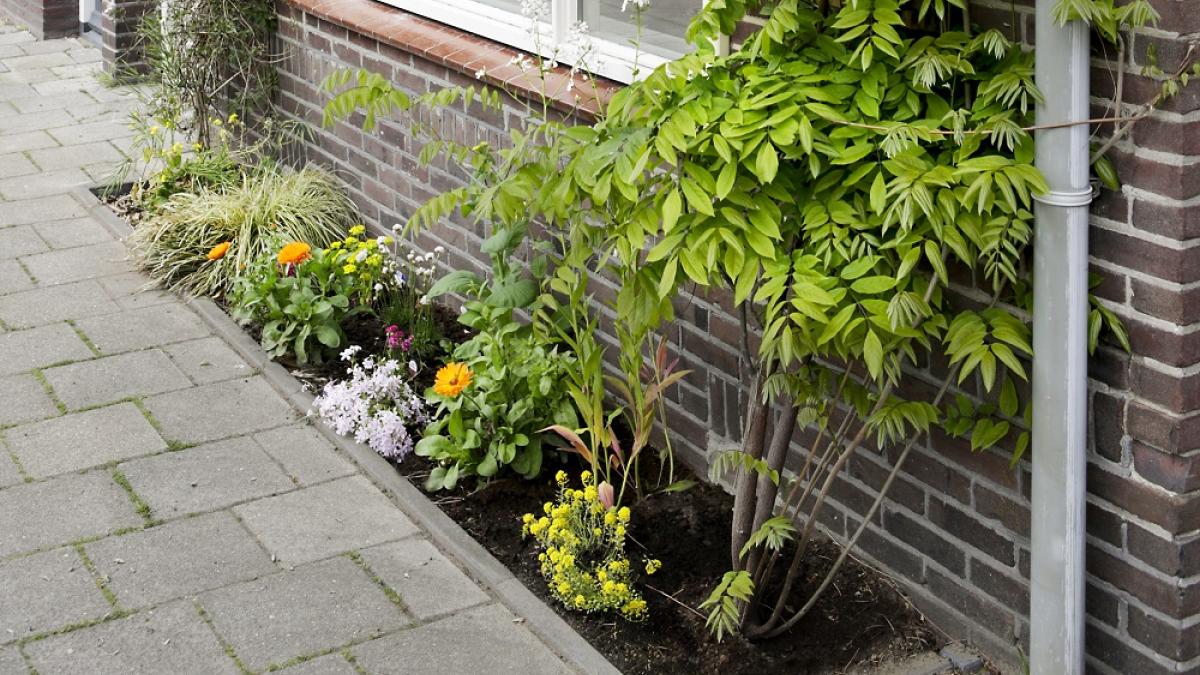 Samen: Geveltuintjes