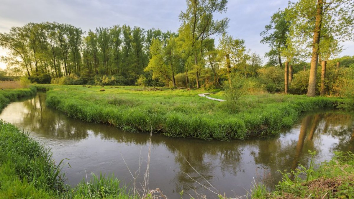 Dommelgemeenten dienen opnieuw verzet in tegen Nyrstar