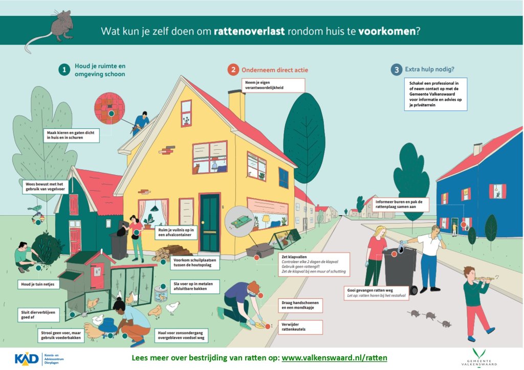 flyer wat te doen bij rattenoverlast