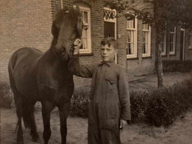 Foto van een paard en een jongeman