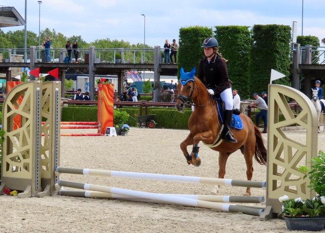 Ruiter Pien Versmissen