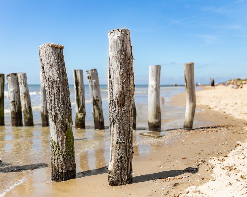paalhoofden in Zoutelande