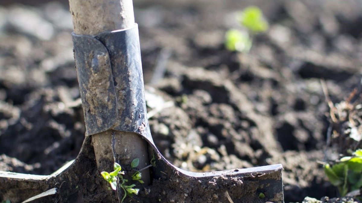 Preventief bodemonderzoek naar PFAS in volkstuinen gemeente Veere