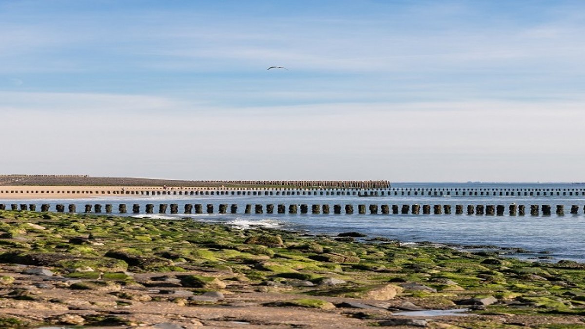 Parkeren op Zeedijk in Westkapelle
