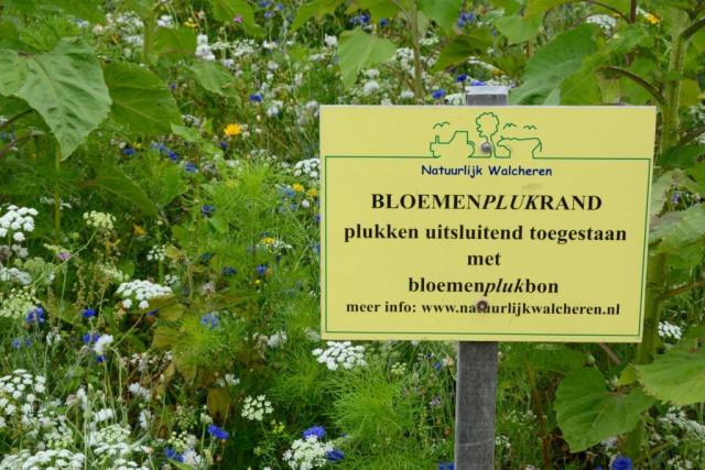 Bloemenplukrand