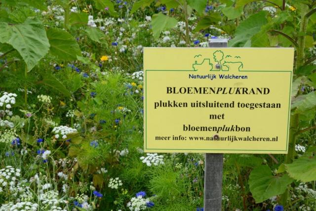 Bloemenplukrand 