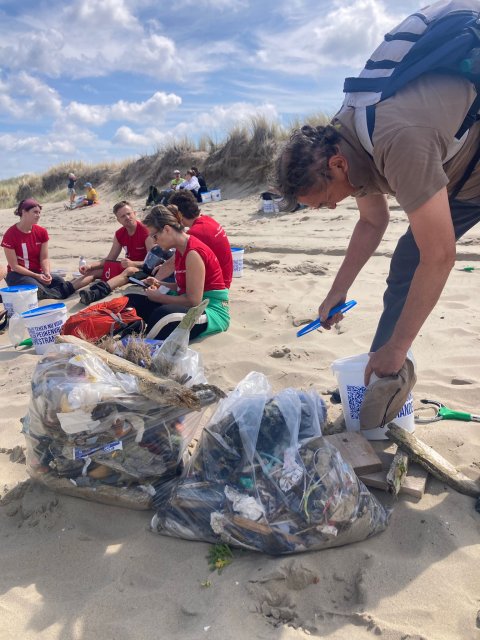 Beach Clean-Up