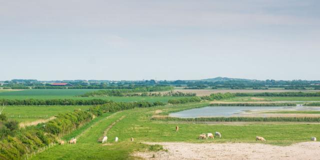 Uitzicht op Westkapelle 