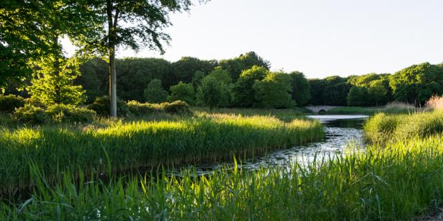 Vijver in Oostkapelle 