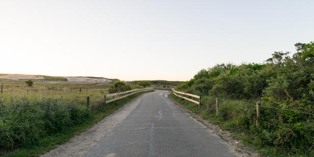 Weg vlakbij strand 