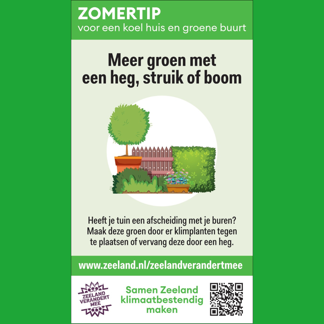 Zomertip voor een koel huis en groene buurt. Meer groen met een heg, struik of boom. Heeft je tuin een afscheiding met je buren? Maak deze groen door er klimplanten tegen te plaatsen of vervang deze door een heg. Zeeland Verandert Mee. Samen Zeeland klimaatbestendig maken