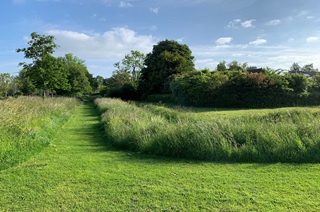 Nieuwe Zuidbeekseweg, beheer bermen en gras