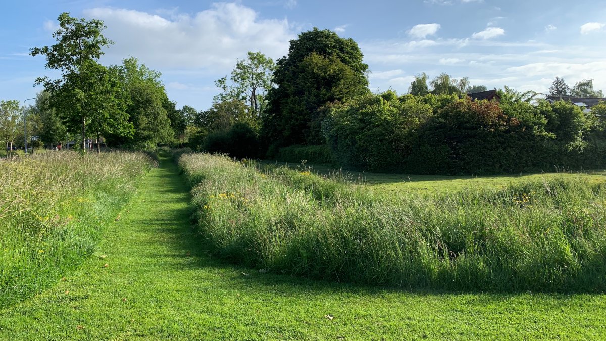 Vlissingen gaat natuurvriendelijker bermen en grasvelden beheren