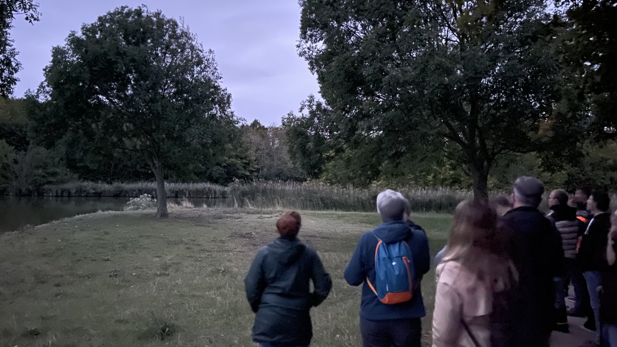 Vleermuiswandeling 29 augustus 2026 is afgelast