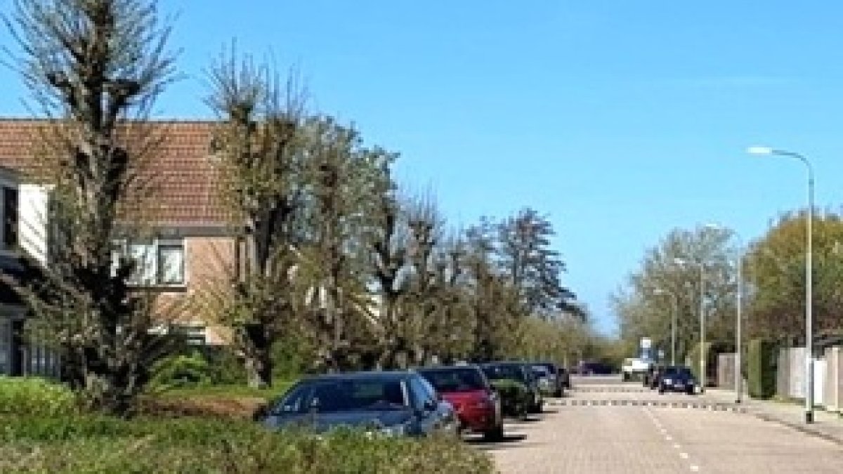 Actief met beweeggroep Vlissingen vanaf september 2026