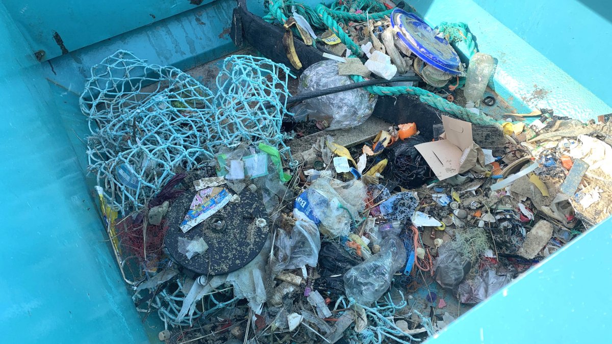 Opruimactie 'Schone Schelde' op 15 maart 2025